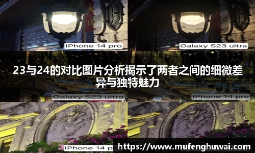 23与24的对比图片分析揭示了两者之间的细微差异与独特魅力